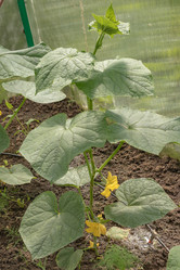 Similar image 21121160