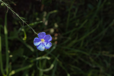 Similar image 21121166