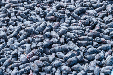 Similar image 21121168