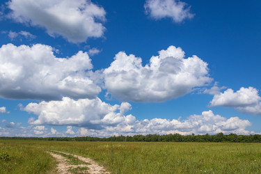 Similar image 21121169