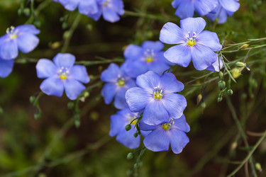 Similar image 21122597