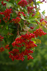 Similar image 21083579