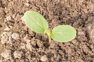 Similar image 21120849