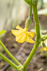 Similar image 21120851