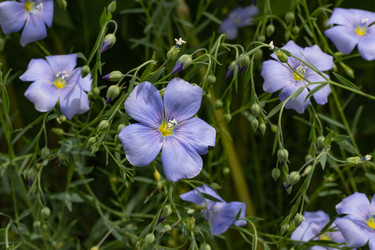 Similar image 21120853