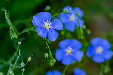 Similar image 21121171