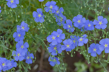 Similar image 21121172