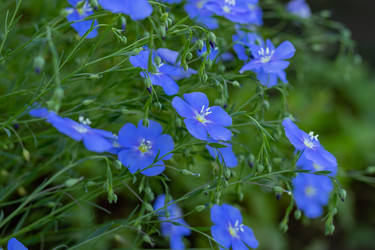 Similar image 21121173