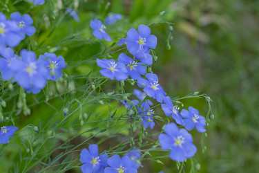 Similar image 21121174