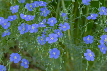 Similar image 21121175