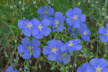 Similar image 21121177