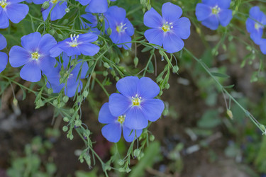 Similar image 21121179