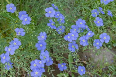 Similar image 21121180