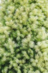 Similar image 21121190