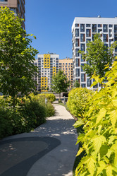 Similar image 21122606