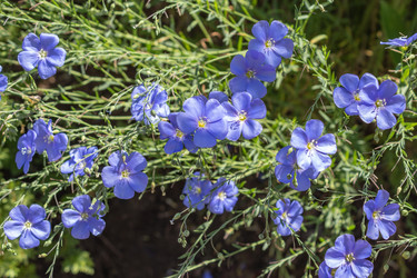 Similar image 21123686