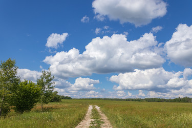 Similar image 21123689