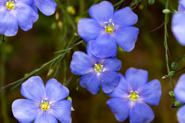 Similar image 21123693