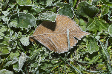 Similar image 21079600