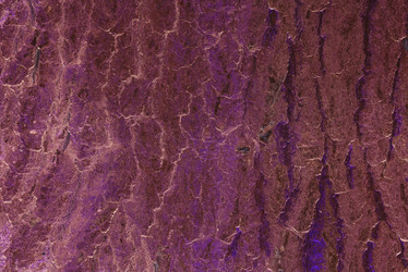 Similar image 21079602