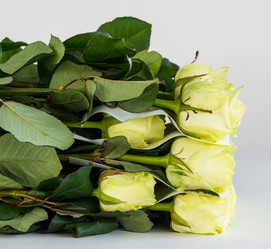 Similar image 21105823