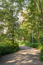 Similar image 21121219