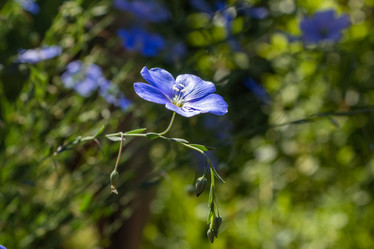 Similar image 21121221