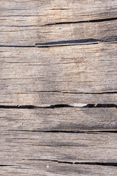 Similar image 21121222