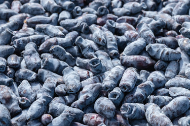 Similar image 21121223