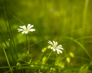 Similar image 21079580