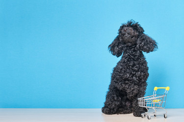 Similar image 21101978