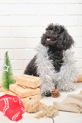 Similar image 21101980