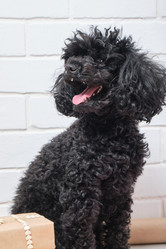 Similar image 21101984