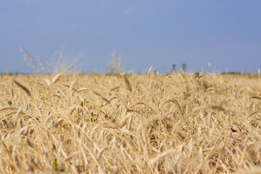 Similar image 21090491