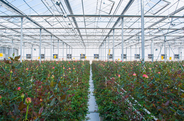 Similar image 21106476