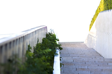 Similar image 21118796