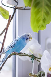 Similar image 21090569