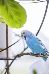 Similar image 21090570