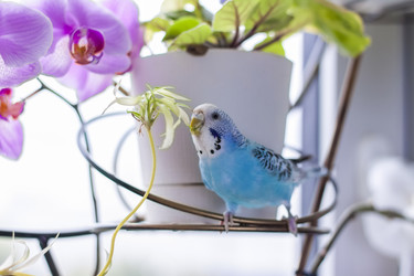 Similar image 21090576