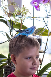 Similar image 21118809