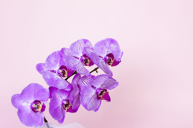 Similar image 21090670