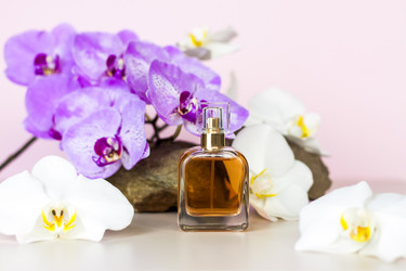 Similar image 21090672