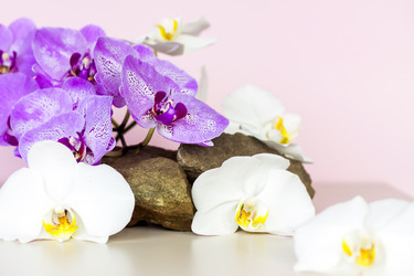 Similar image 21090673