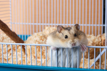 Similar image 21100672