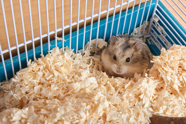 Similar image 21100676