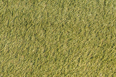 Similar image 21120446