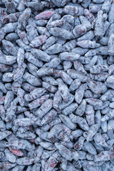 Similar image 21120447