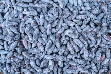 Similar image 21120448