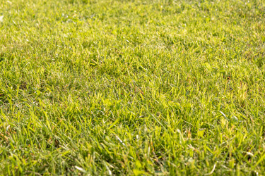 Similar image 21120449