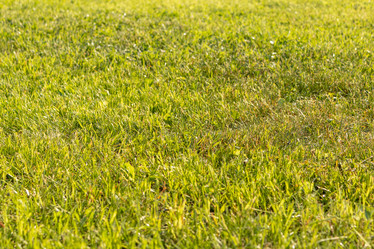 Similar image 21120450